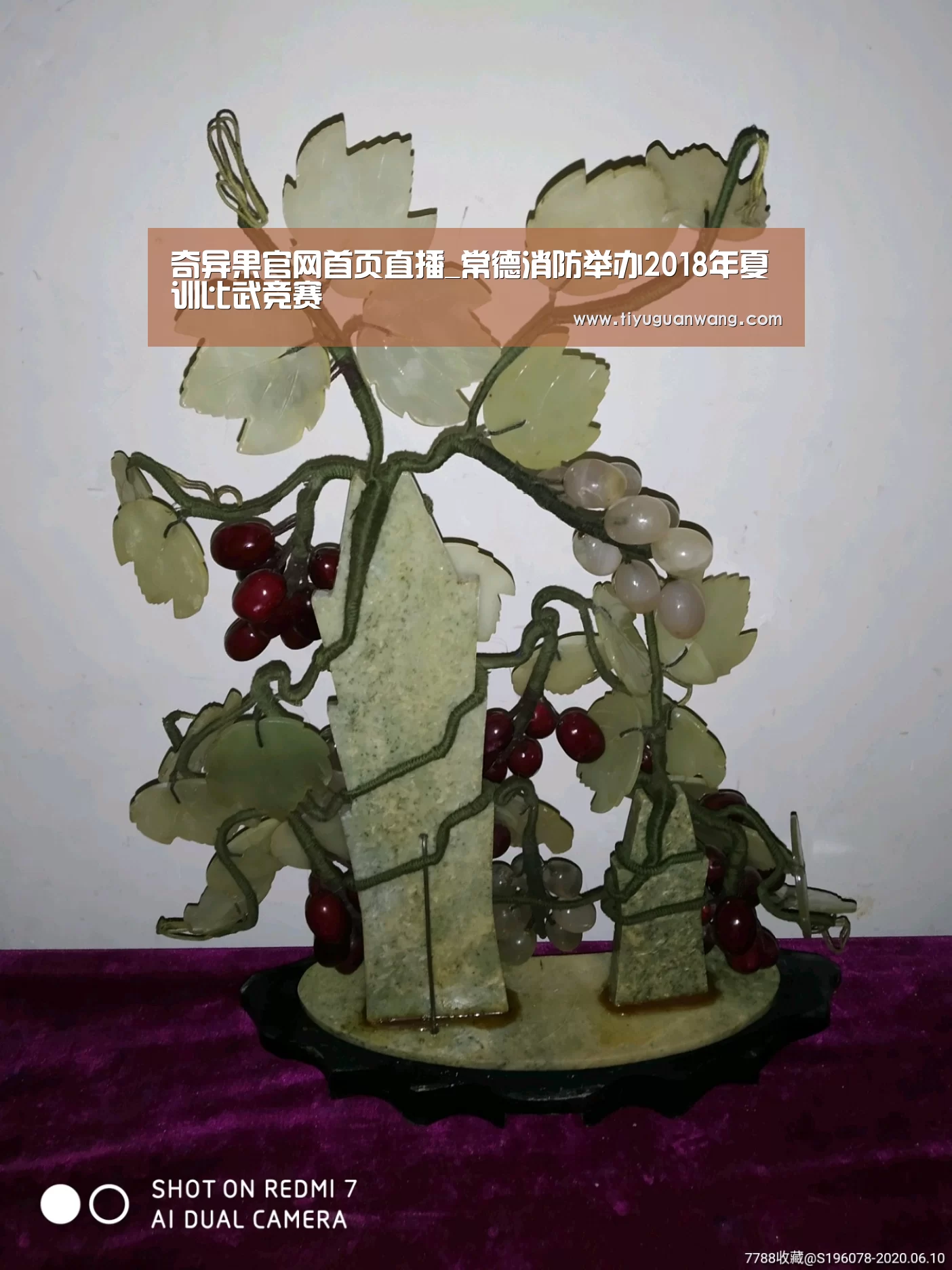 奇异果官网首页