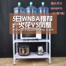 5日WNBA推荐:火花VS凤凰城水银‘奇异果中国官网’(图1) 奇异果中国官网