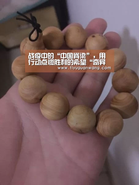 奇异果官网首页