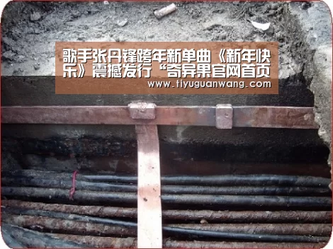歌手张丹锋跨年新单曲《新年快乐》震撼发行“奇异果官网首页直播”(图2) 奇异果中国官网