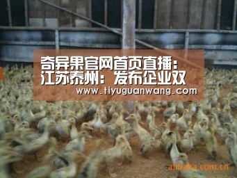 奇异果官网首页直播:江苏泰州:发布企业双重预防机制建设通则(图2) 奇异果官网首页