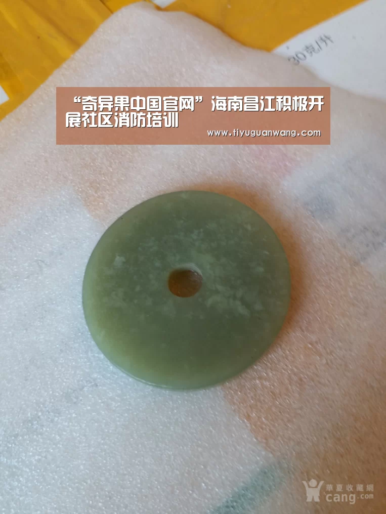 “奇异果中国官网”海南昌江积极开展社区消防培训(图2) 奇异果中国官网