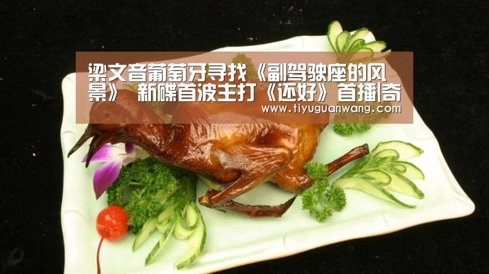 梁文音葡萄牙寻找《副驾驶座的风景》 新碟首波主打《还好》首播|奇异果官网首页(图1) 奇异果官网首页