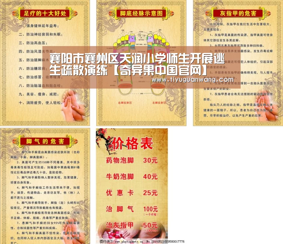 奇异果中国官网