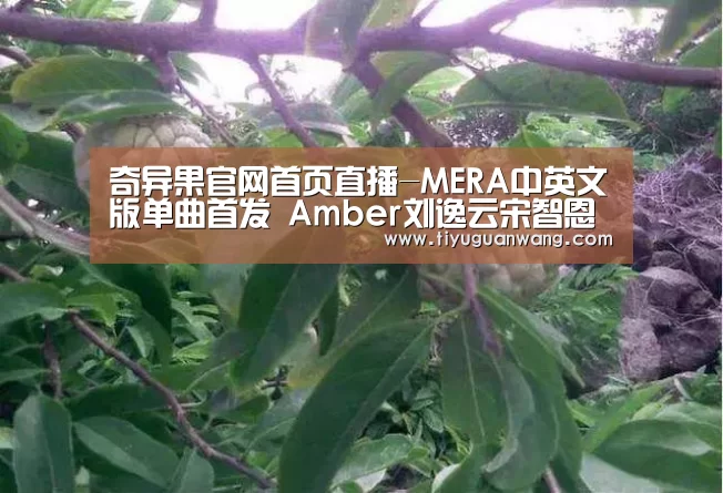 奇异果官网首页直播-MERA中英文版单曲首发 Amber刘逸云宋智恩作曲(图1) 奇异果官网首页